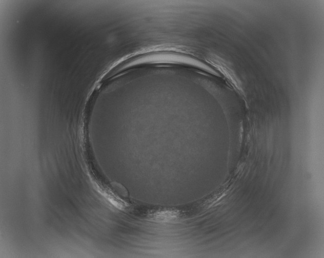 X0000083650156200702121159