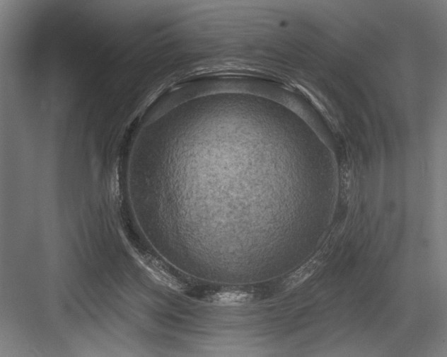 X0000083650158200702121159