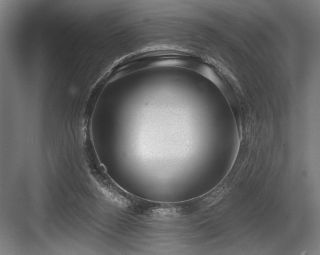 X0000083650160200702121159