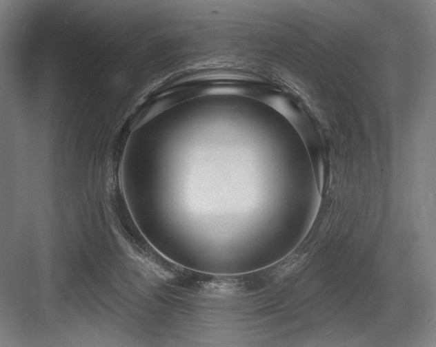 X0000083650164200702121159
