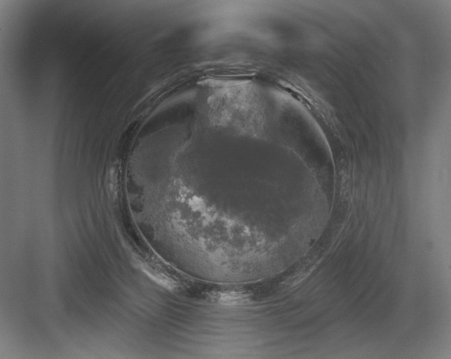 X0000083650165200702121159