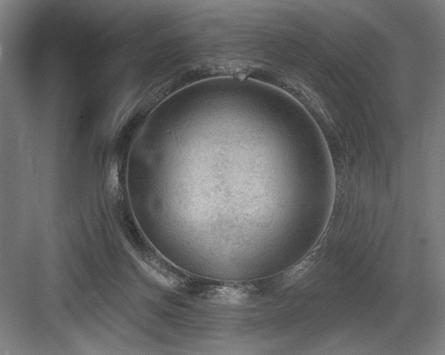 X0000083650166200702121159