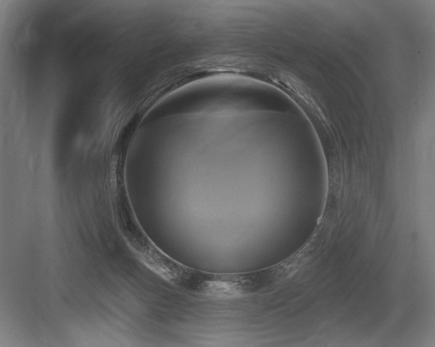 X0000083650167200702121159