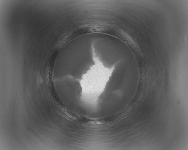 X0000083650169200702121159
