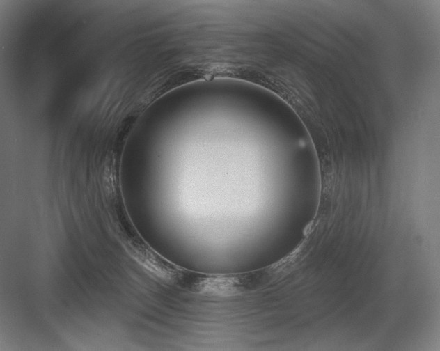 X0000083650179200702121159