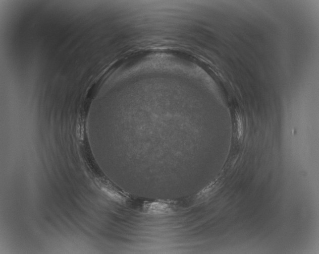 X0000083650180200702121159