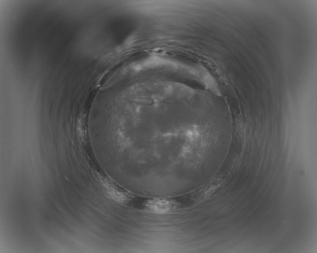 X0000083650181200702121159