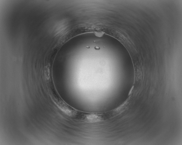 X0000083650183200702121159