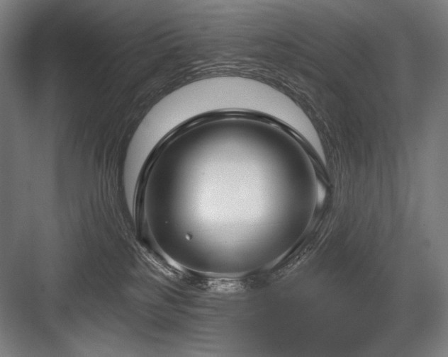 X0000083650185200702121159