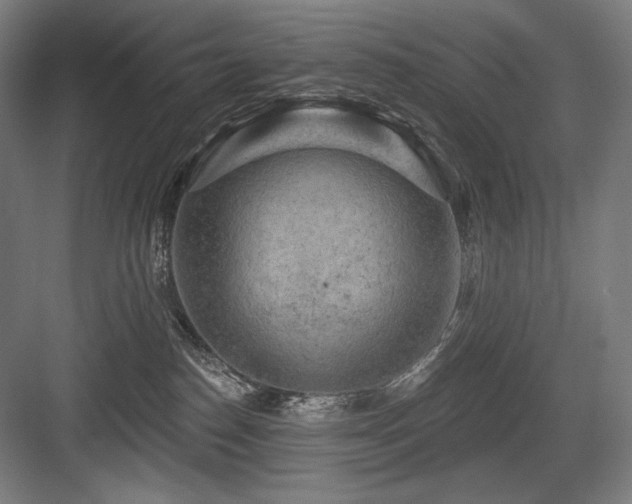 X0000083650186200702121159