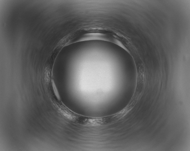 X0000083650188200702121159