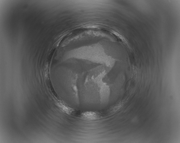 X0000083650189200702121159