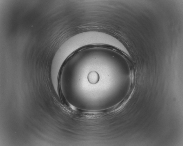 X0000083650190200702121159