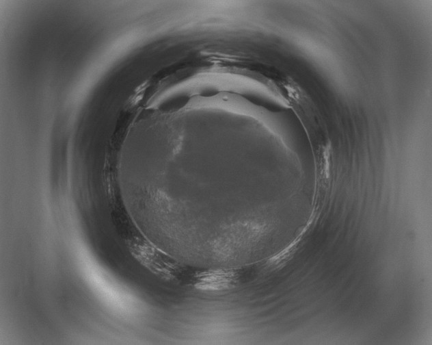 X0000083650191200702121159