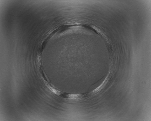 X0000083650192200702121159