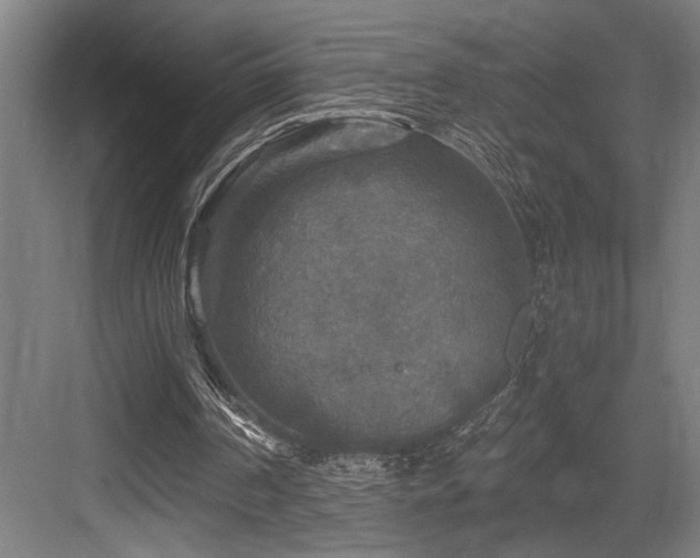 X0000083650194200702121159
