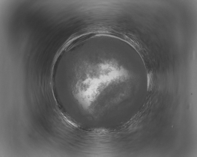 X0000083650195200702121159