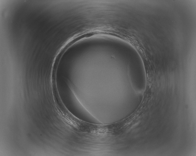 X0000083650196200702121159