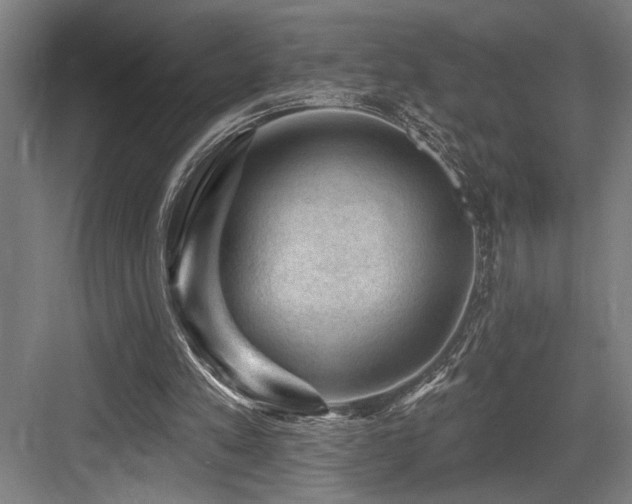 X0000083650197200702121159