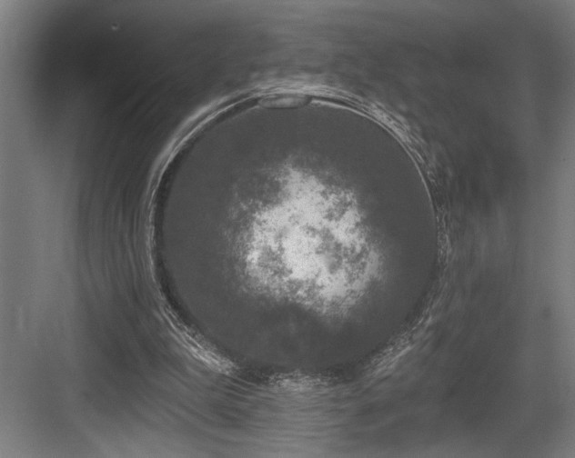 X0000083650199200702121159