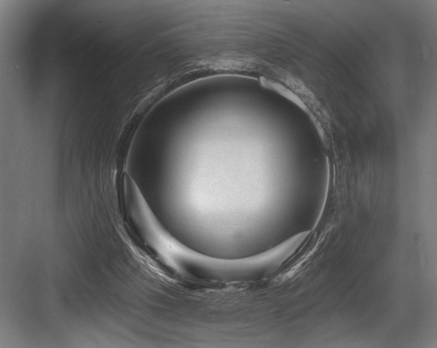 X0000083650201200702121158