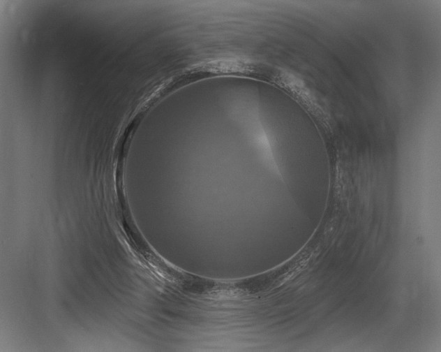 X0000083650202200702121158