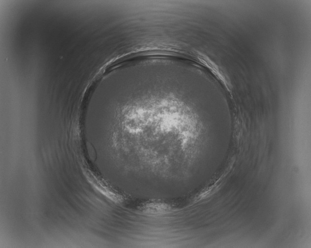 X0000083650203200702121158