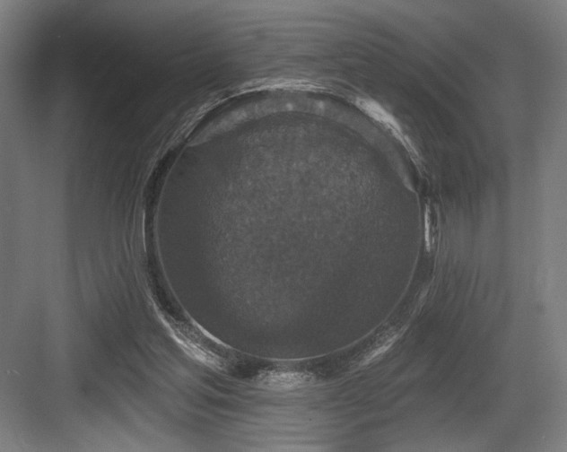 X0000083650205200702121158
