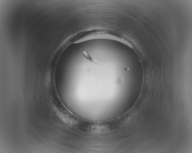 X0000083650208200702121158