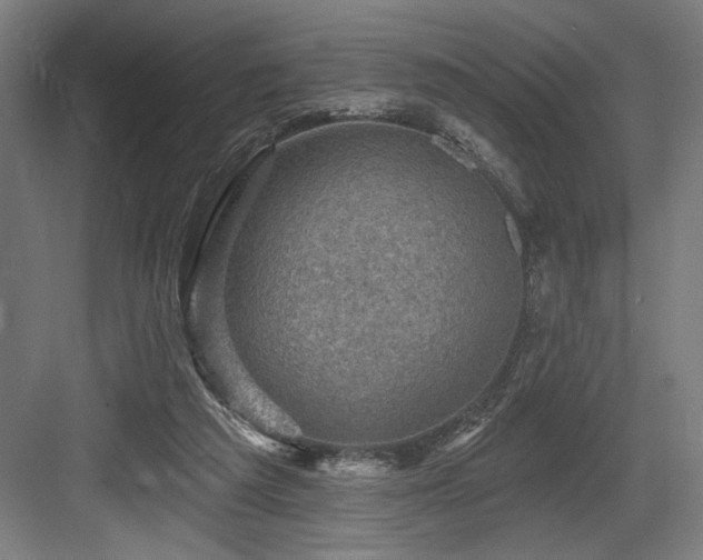 X0000083650209200702121158