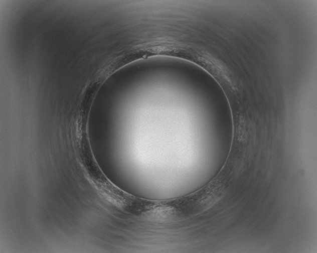 X0000083650210200702121158