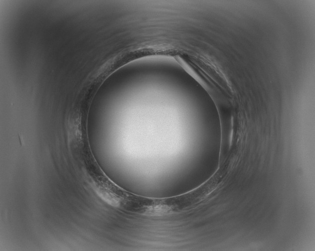 X0000083650212200702121158