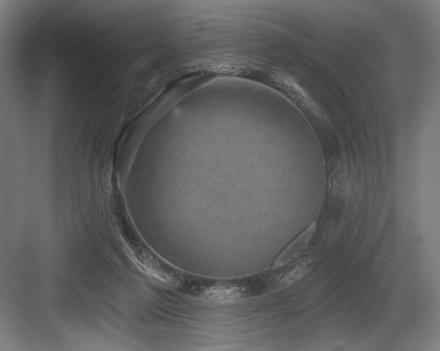 X0000083650213200702121158