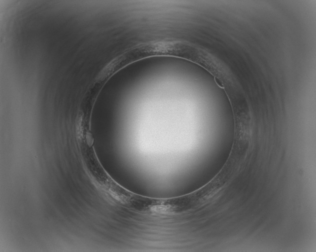 X0000083650216200702121158