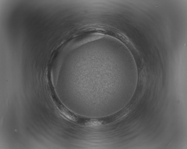 X0000083650217200702121158