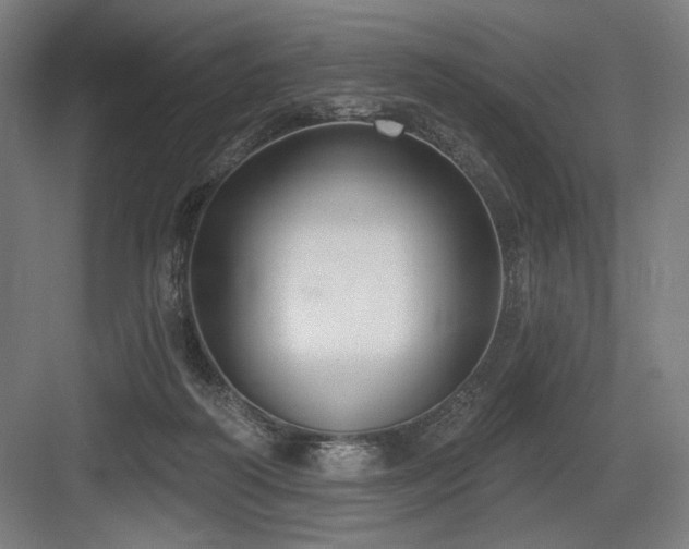 X0000083650218200702121158