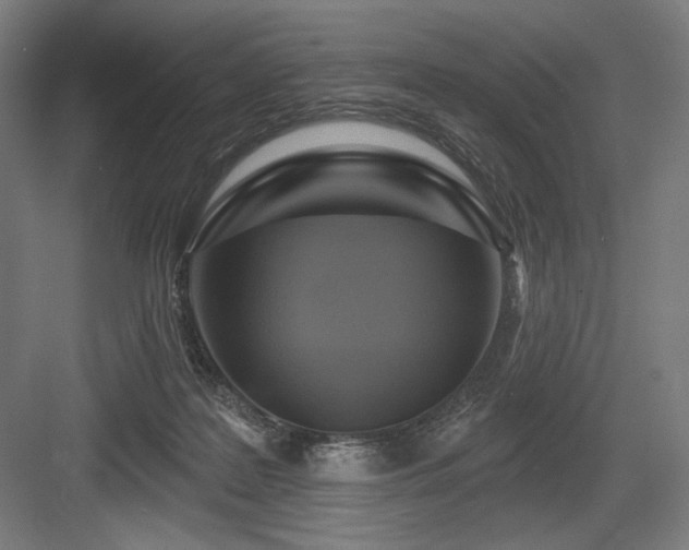 X0000083650219200702121158