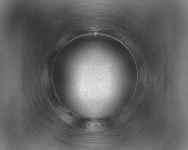 X0000083650220200702121158