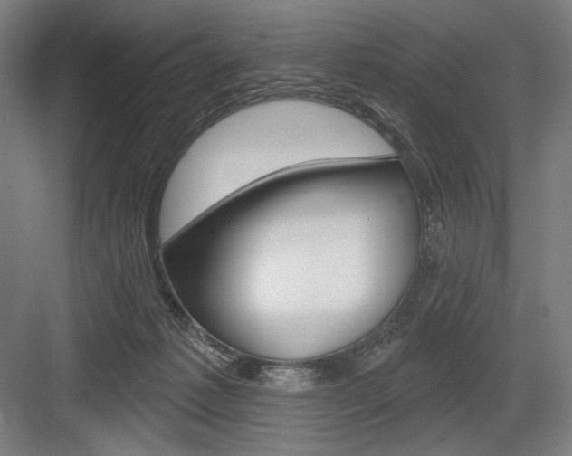 X0000083650221200702121158