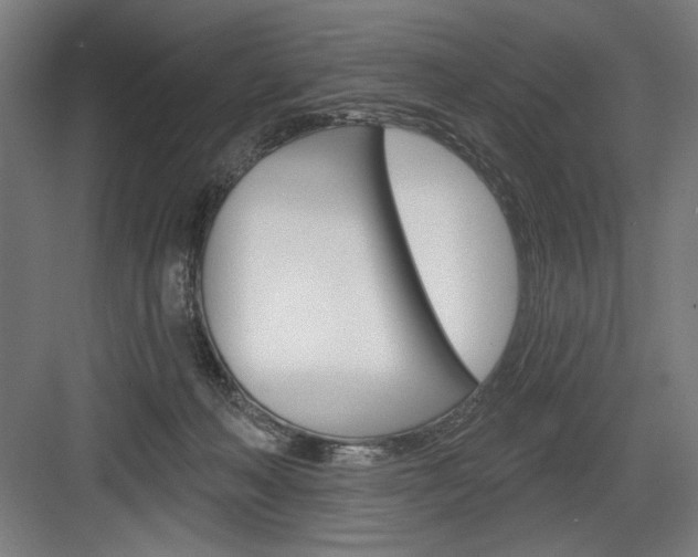 X0000083650222200702121158