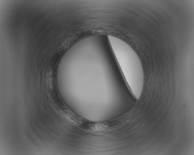 X0000083650223200702121158