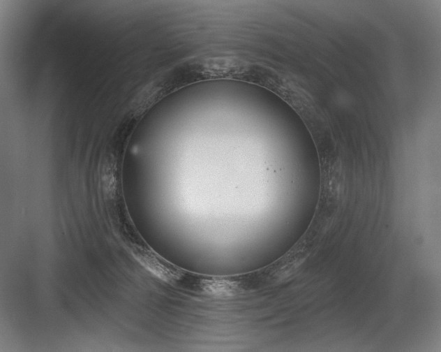 X0000083650226200702121158