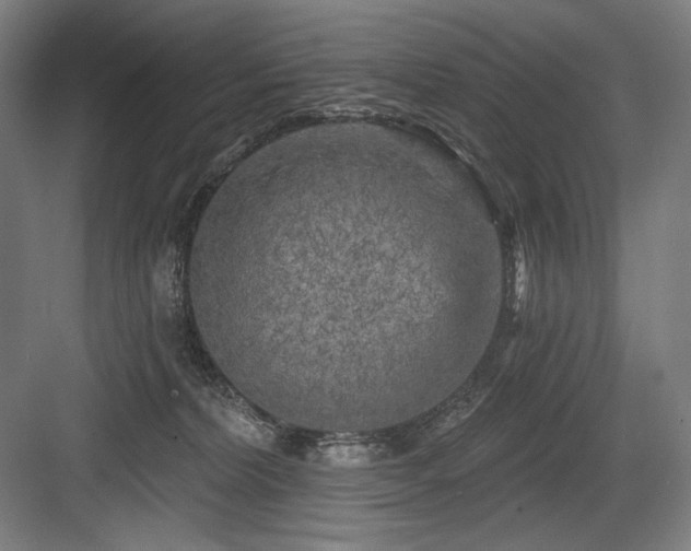 X0000083650228200702121158