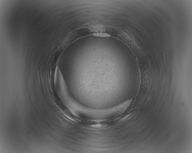 X0000083650229200702121158