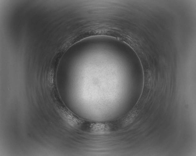 X0000083650230200702121158