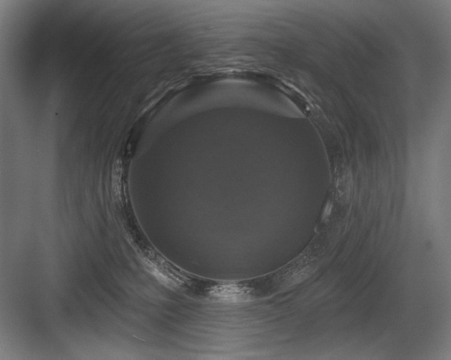 X0000083650231200702121158