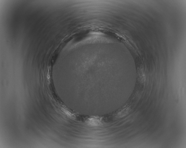 X0000083650232200702121158
