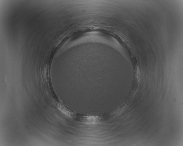 X0000083650233200702121158