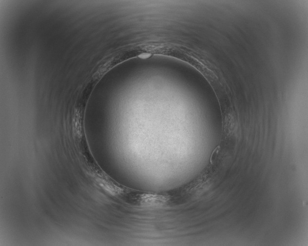 X0000083650234200702121158