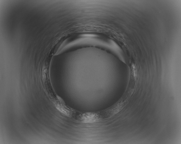 X0000083650235200702121158
